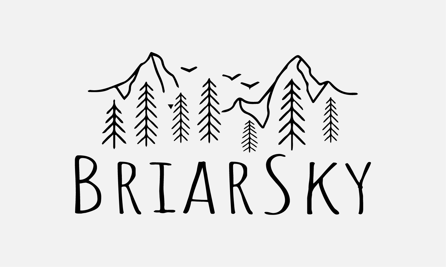 BriarSky.com - buy Great premium domains